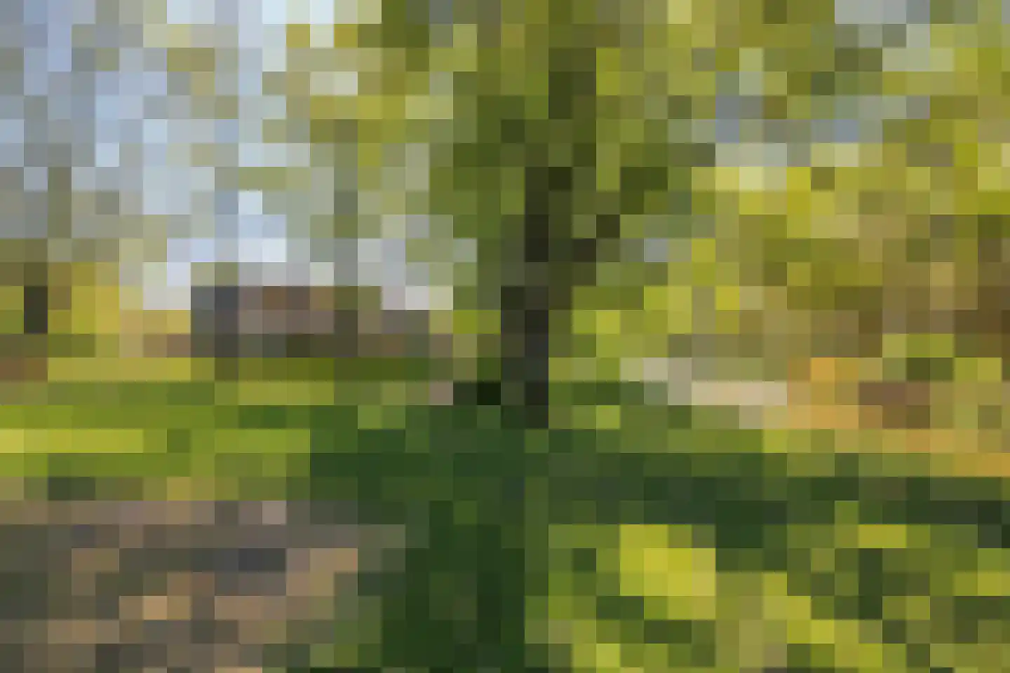 Livingstonelaan 646 Utrecht thumbnail 53