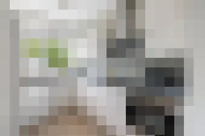 Livingstonelaan 660 Utrecht thumbnail 11
