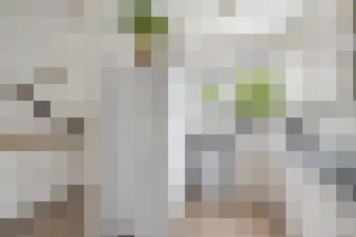 Livingstonelaan 660 Utrecht thumbnail 12