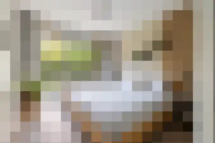 Livingstonelaan 660 Utrecht thumbnail 15
