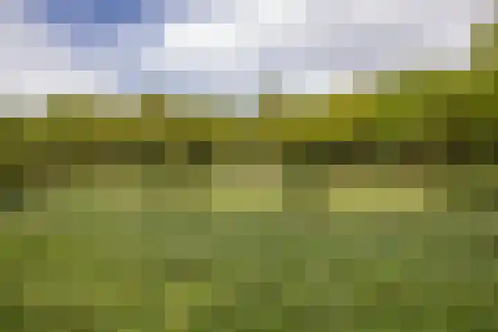 Livingstonelaan 660 Utrecht thumbnail 17