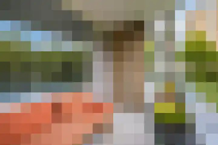 Livingstonelaan 660 Utrecht thumbnail 18