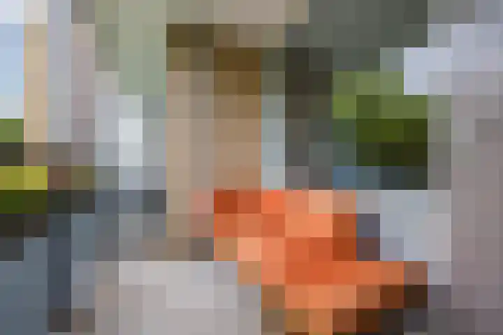 Livingstonelaan 660 Utrecht thumbnail 19