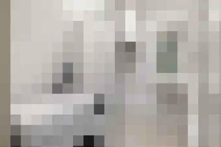 Livingstonelaan 660 Utrecht thumbnail 21