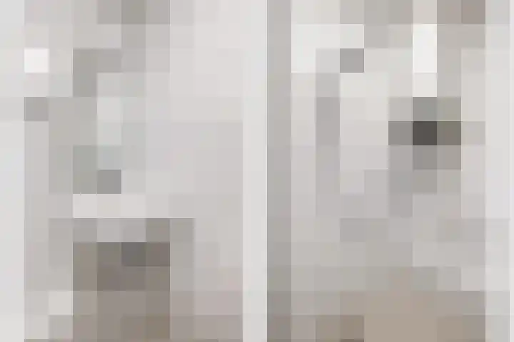 Livingstonelaan 660 Utrecht thumbnail 22