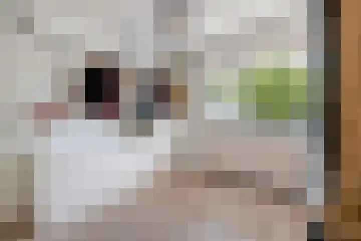 Livingstonelaan 660 Utrecht thumbnail 25