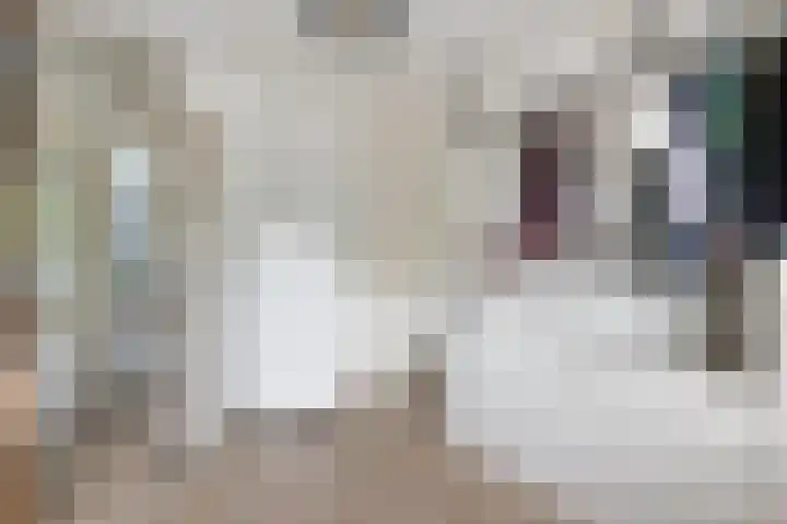 Livingstonelaan 660 Utrecht thumbnail 26