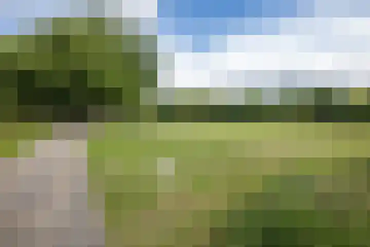 Livingstonelaan 660 Utrecht thumbnail 38