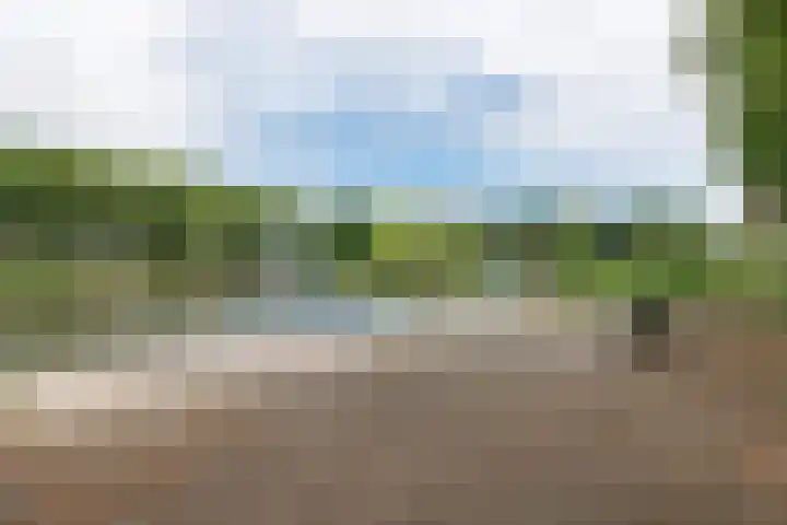 Livingstonelaan 660 Utrecht thumbnail 39