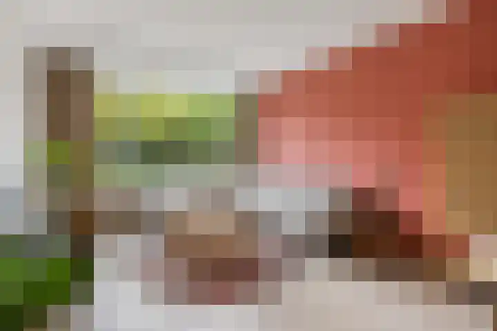 Livingstonelaan 660 Utrecht thumbnail 4