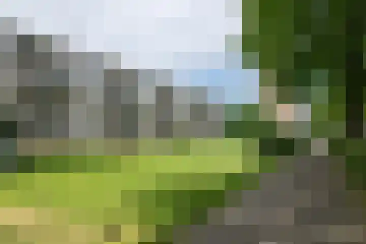 Livingstonelaan 660 Utrecht thumbnail 42