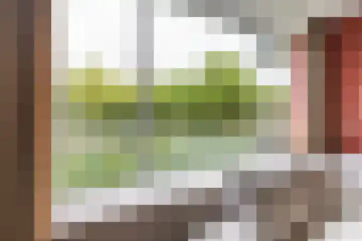 Livingstonelaan 660 Utrecht thumbnail 5