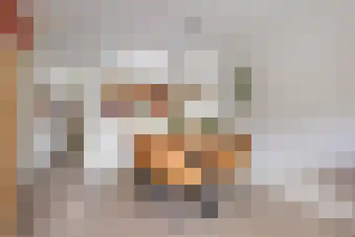 Livingstonelaan 660 Utrecht thumbnail 8