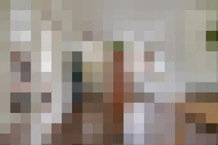 Livingstonelaan 688 Utrecht thumbnail 11