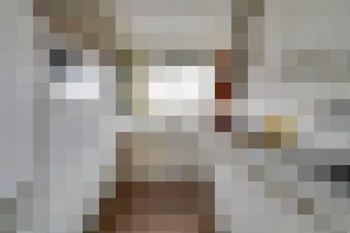 Livingstonelaan 688 Utrecht thumbnail 12