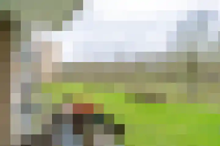 Livingstonelaan 688 Utrecht thumbnail 19