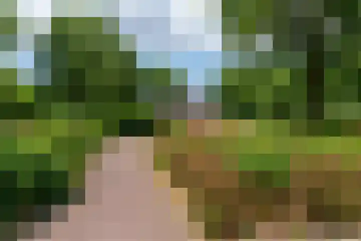Livingstonelaan 688 Utrecht thumbnail 31