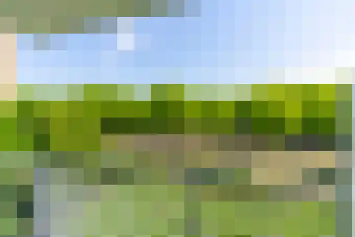 Livingstonelaan 696 Utrecht thumbnail 23