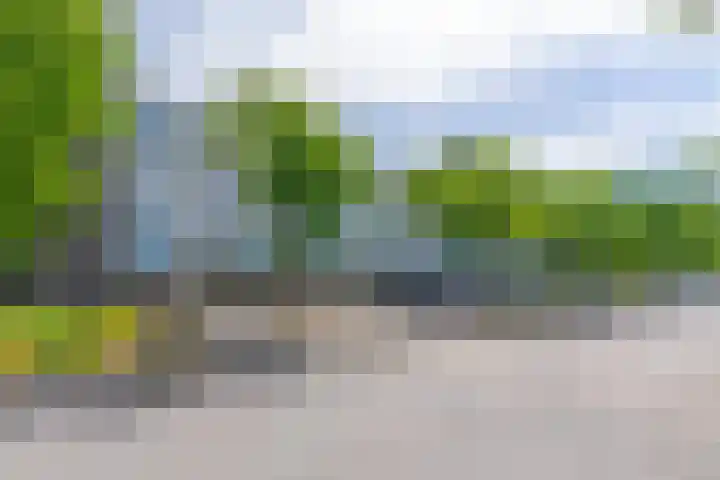 Livingstonelaan 696 Utrecht thumbnail 4