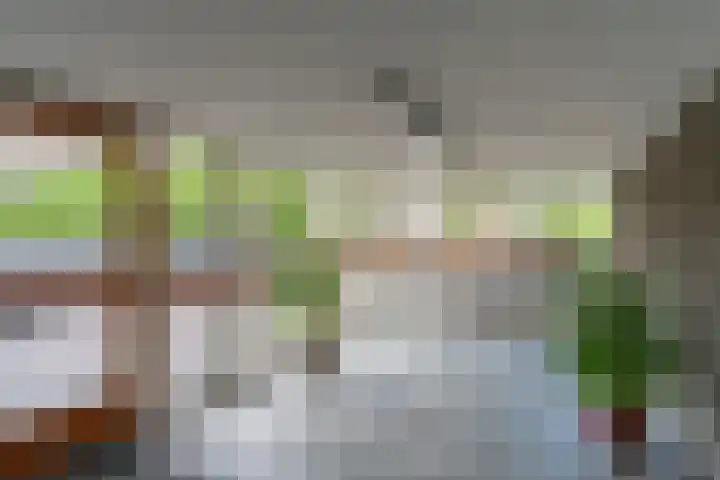 Livingstonelaan 696 Utrecht thumbnail 5