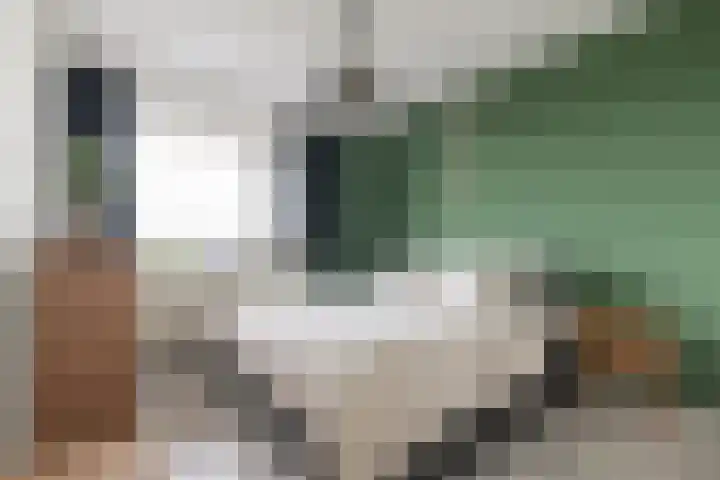 Livingstonelaan 718 Utrecht thumbnail 12
