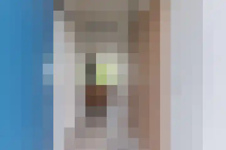 Livingstonelaan 718 Utrecht thumbnail 18