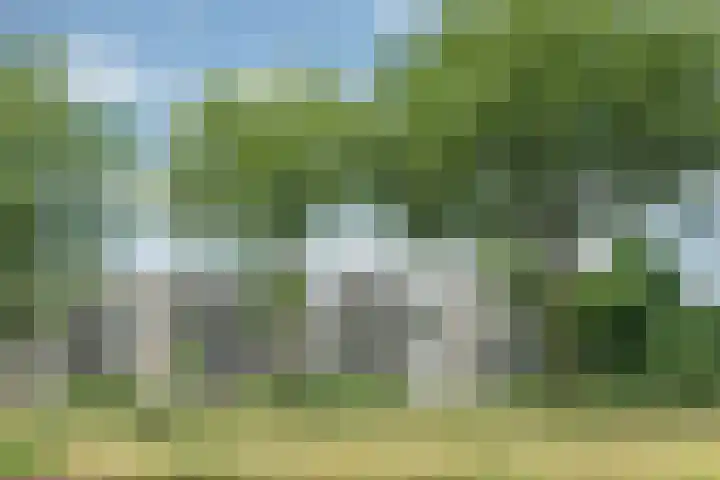 Livingstonelaan 718 Utrecht thumbnail 21