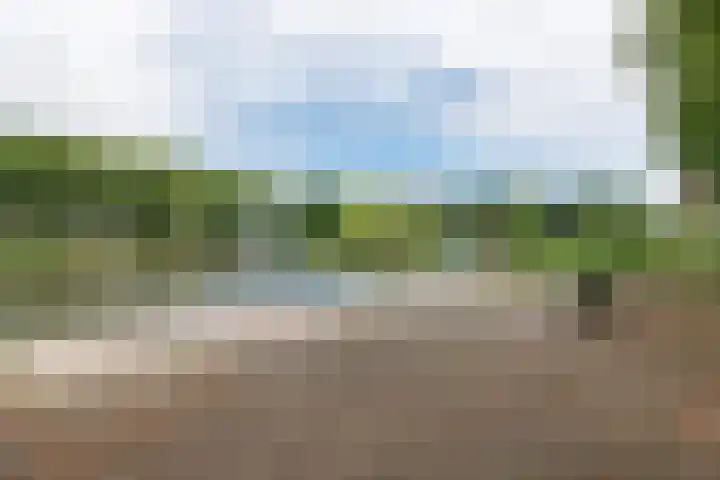 Livingstonelaan 718 Utrecht thumbnail 25
