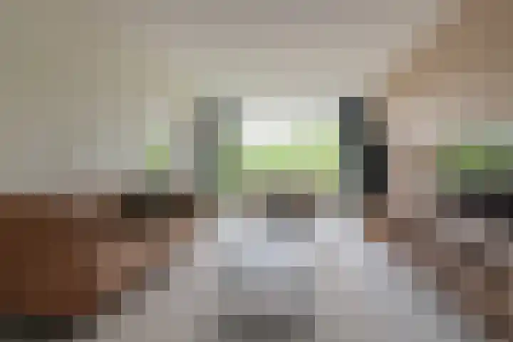 Livingstonelaan 718 Utrecht thumbnail 4