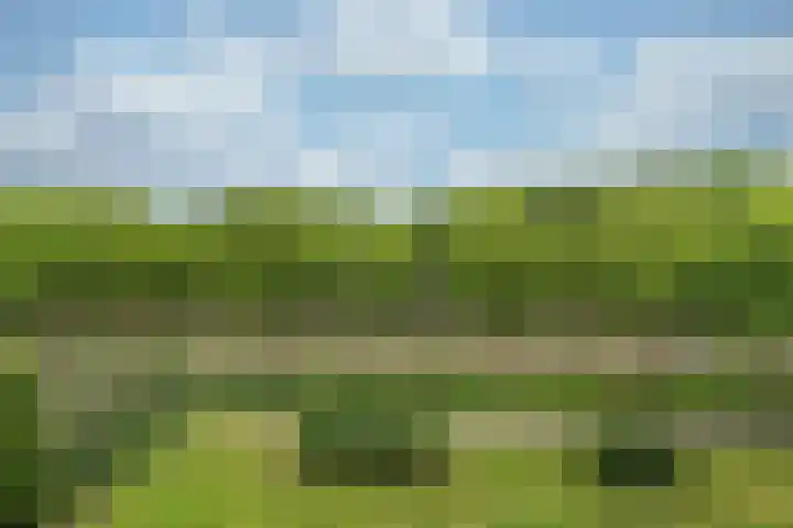 Livingstonelaan 718 Utrecht thumbnail 7