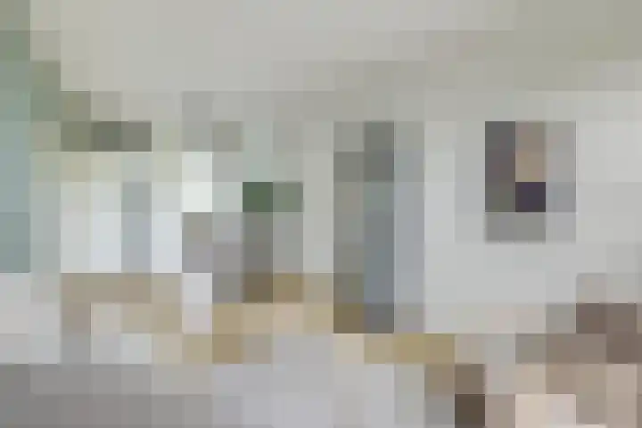 Livingstonelaan 724 Utrecht thumbnail 10