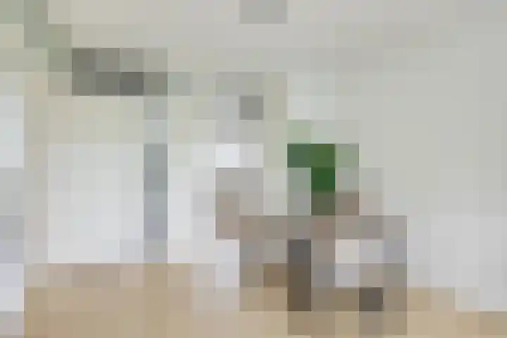 Livingstonelaan 724 Utrecht thumbnail 13