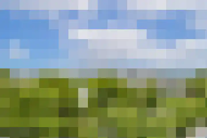 Livingstonelaan 724 Utrecht thumbnail 16