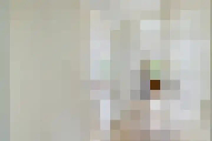 Livingstonelaan 724 Utrecht thumbnail 19