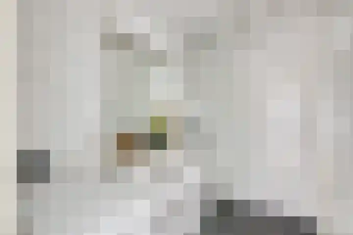 Livingstonelaan 724 Utrecht thumbnail 20