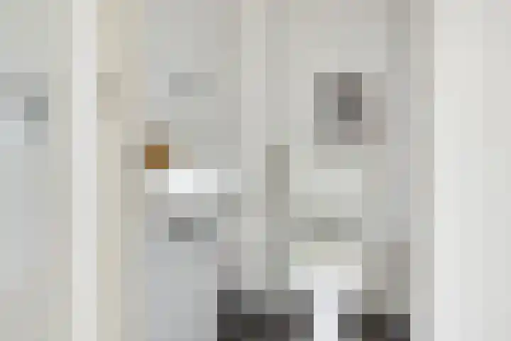Livingstonelaan 724 Utrecht thumbnail 21