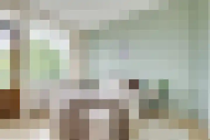 Livingstonelaan 724 Utrecht thumbnail 22