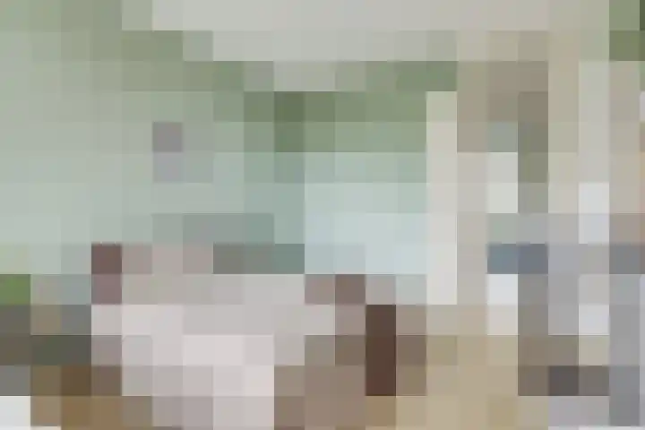Livingstonelaan 724 Utrecht thumbnail 23