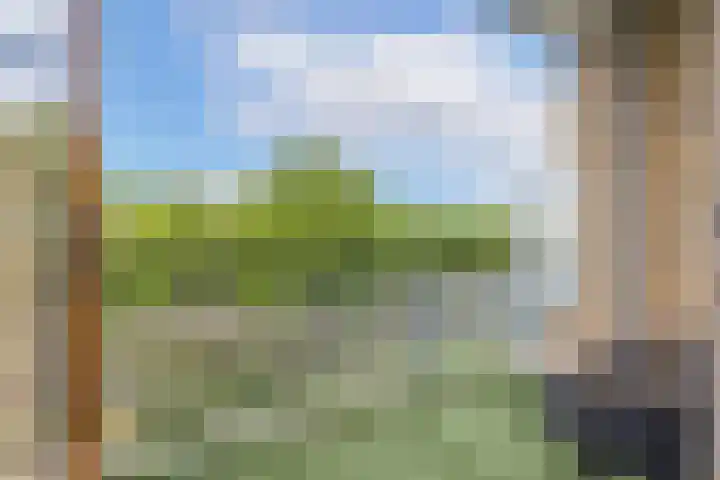 Livingstonelaan 724 Utrecht thumbnail 24