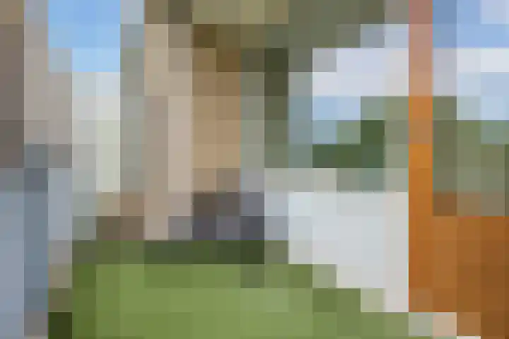 Livingstonelaan 724 Utrecht thumbnail 25