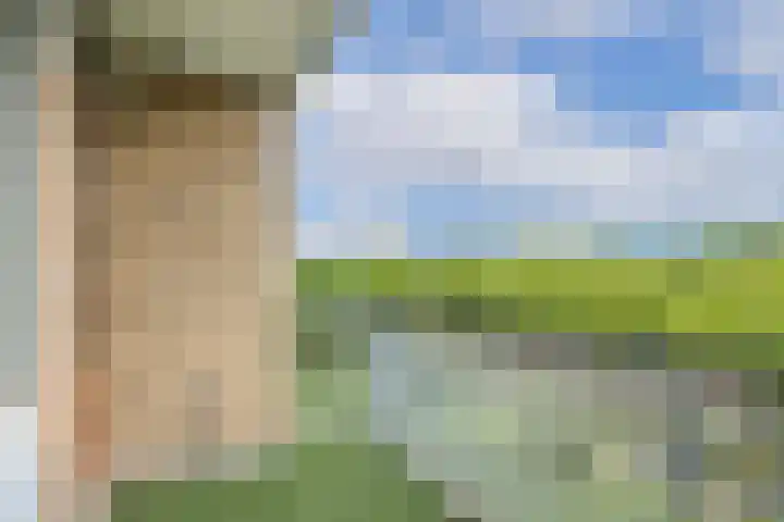 Livingstonelaan 724 Utrecht thumbnail 26