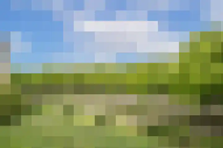 Livingstonelaan 724 Utrecht thumbnail 27