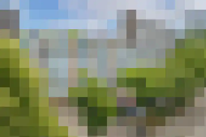 Livingstonelaan 724 Utrecht thumbnail 4