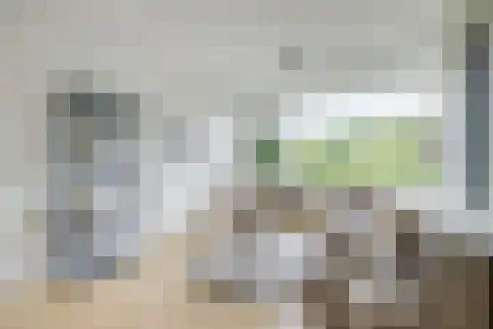 Livingstonelaan 724 Utrecht thumbnail 7