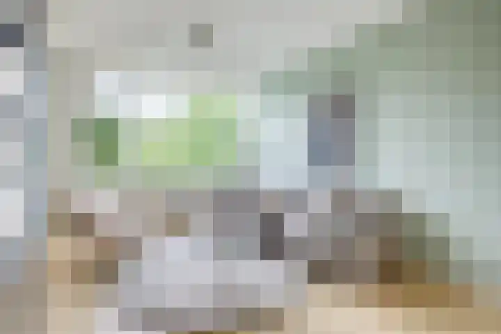 Livingstonelaan 724 Utrecht thumbnail 8