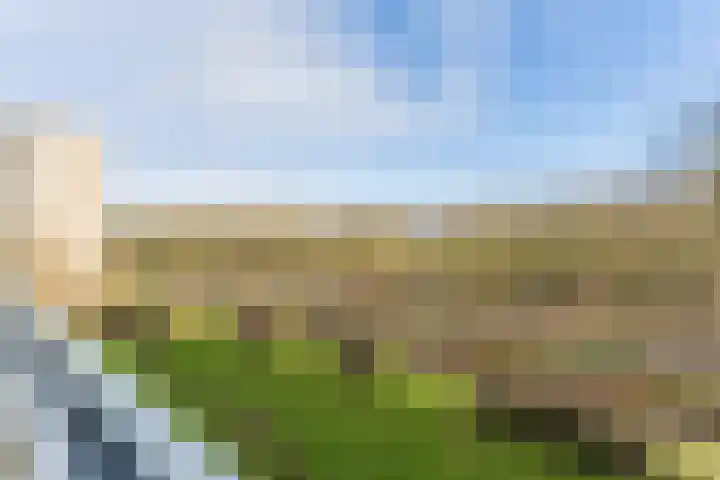 Livingstonelaan 726 Utrecht thumbnail 30