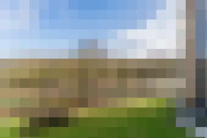 Livingstonelaan 726 Utrecht thumbnail 31