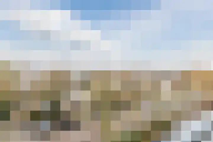 Livingstonelaan 726 Utrecht thumbnail 32