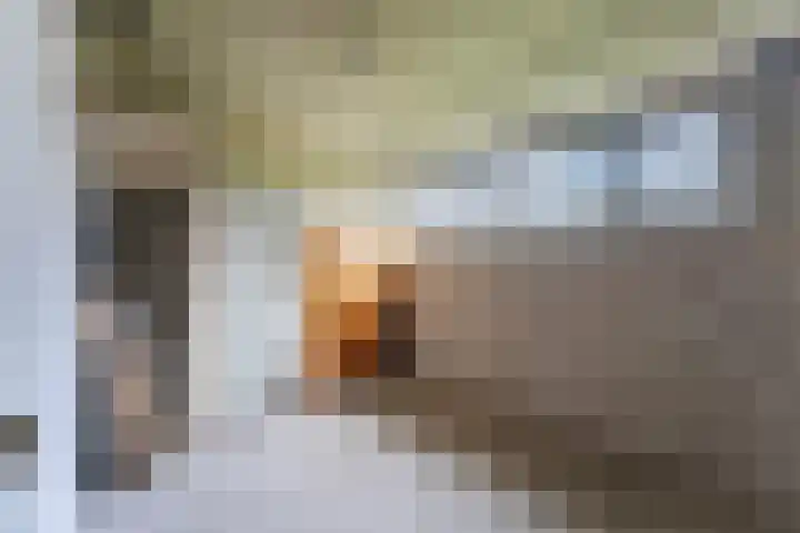 Livingstonelaan 726 Utrecht thumbnail 35