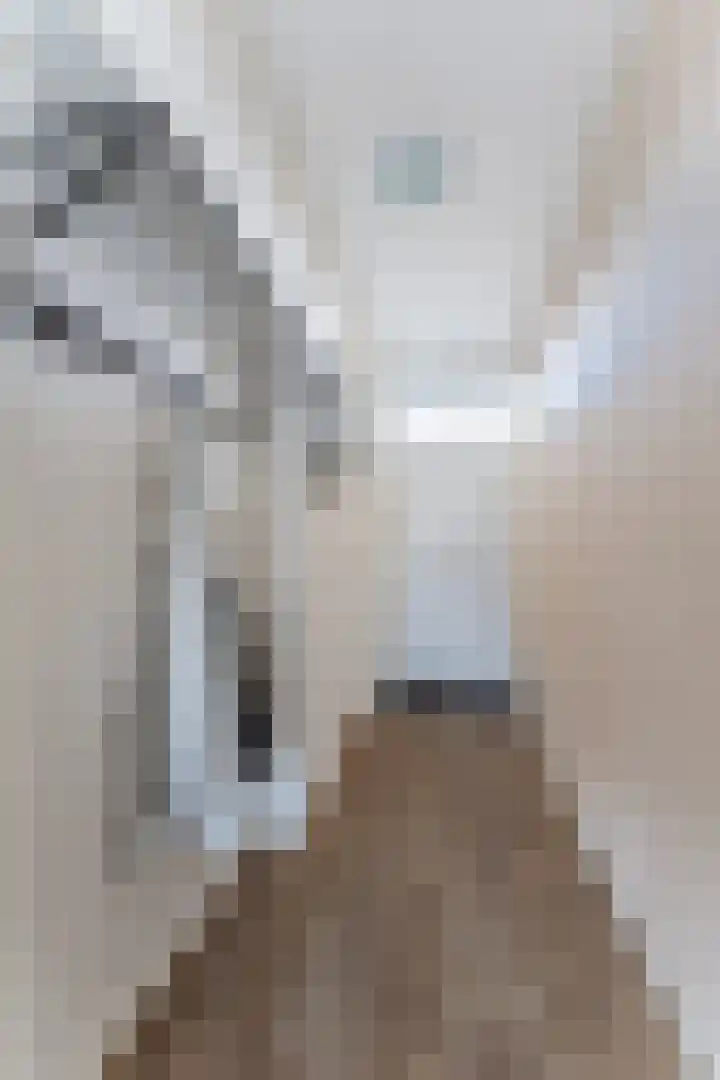 Livingstonelaan 726 Utrecht thumbnail 9
